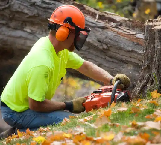 tree services Circle